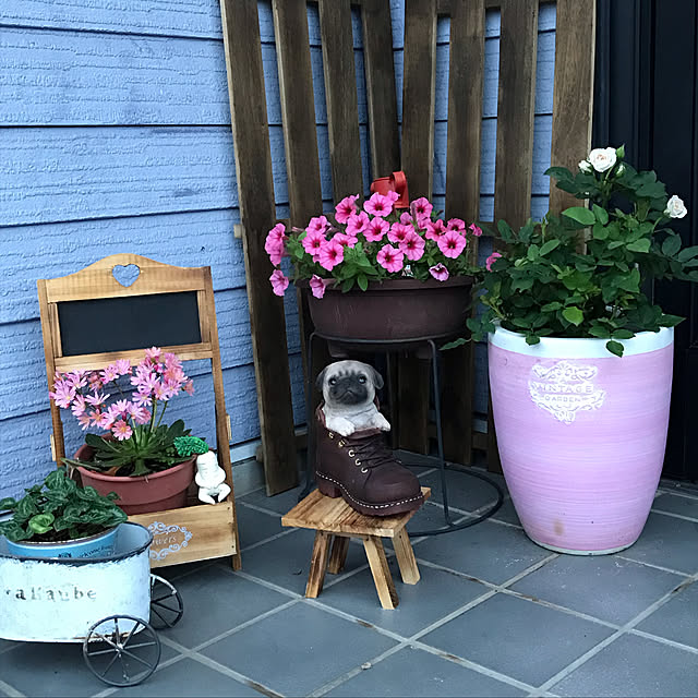 akochanさんの実例写真