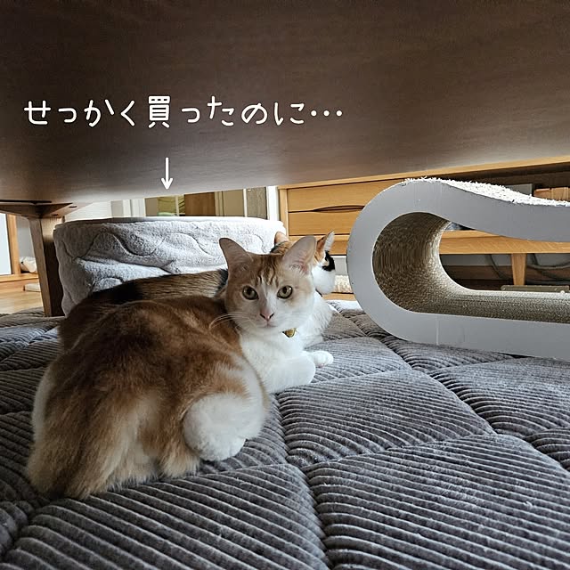 koyurizuさんの実例写真