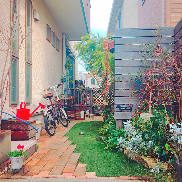 risaさんの実例写真