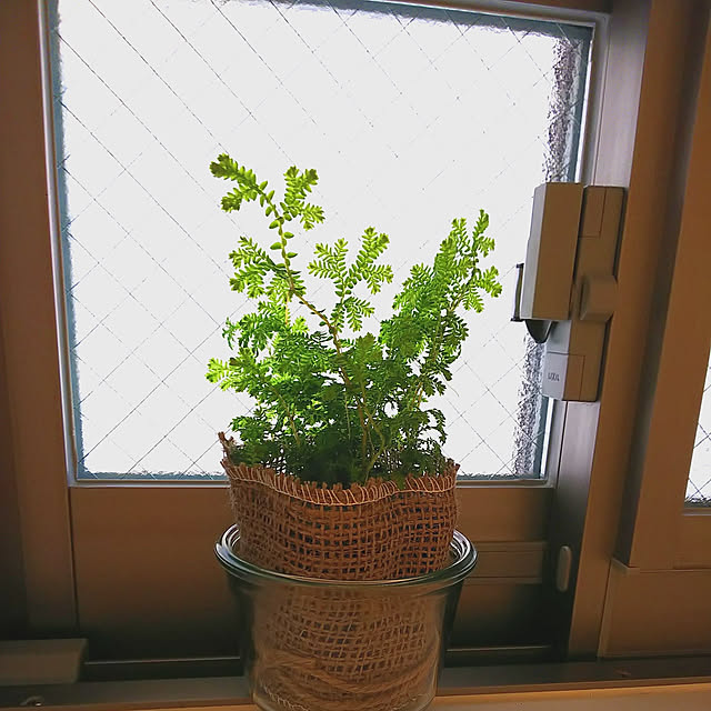 KEIKOさんの実例写真