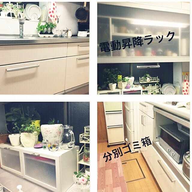 koihiさんの実例写真