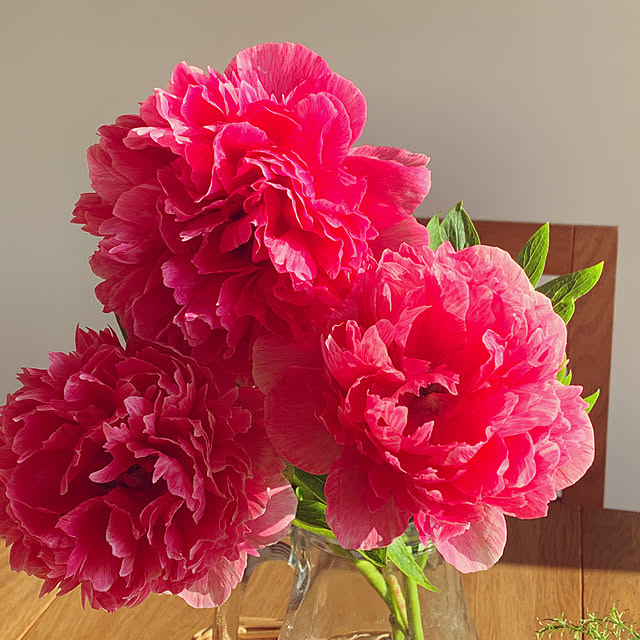 Blossom24さんの部屋