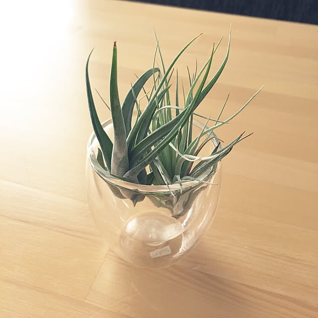 ericocoさんの実例写真