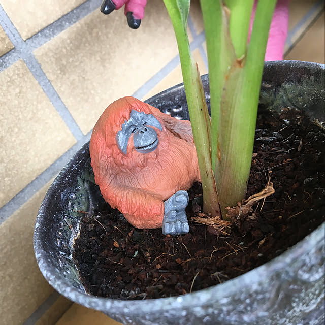 Ryoさんの実例写真
