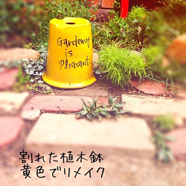 38coreさんの実例写真