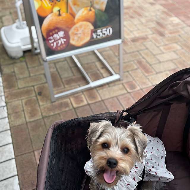 marikoさんの実例写真