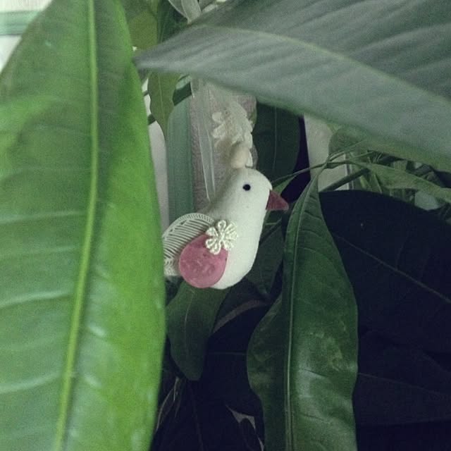 Natsumiさんの実例写真