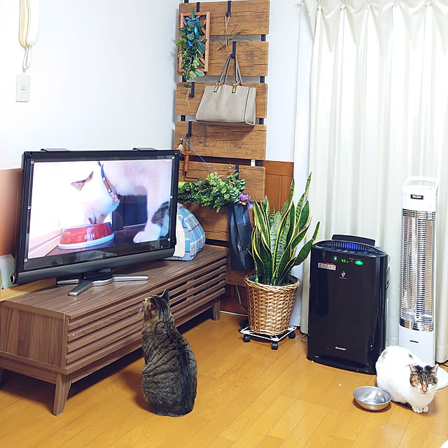 nachiさんの実例写真