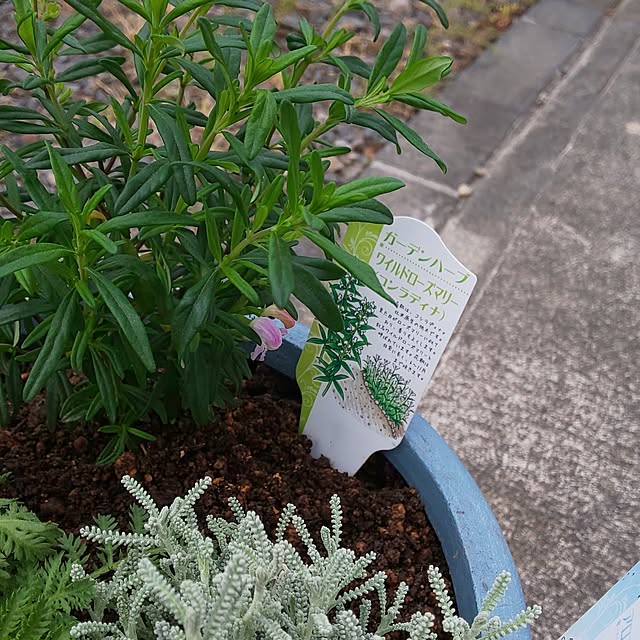 KOHAKUさんの部屋