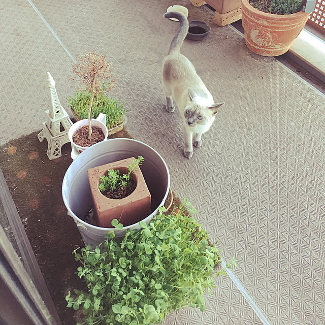 niko-25さんの実例写真
