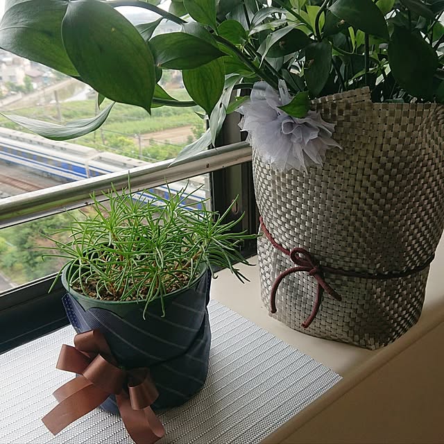 NOAHさんの部屋
