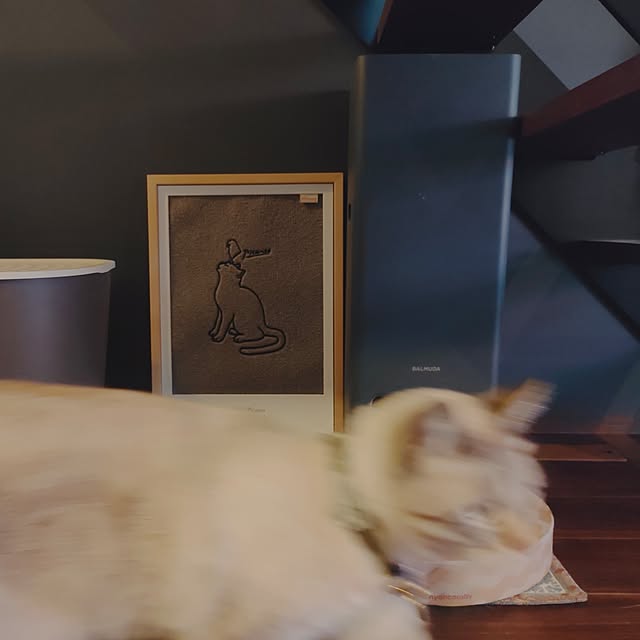 Atelier_tamakiさんの部屋