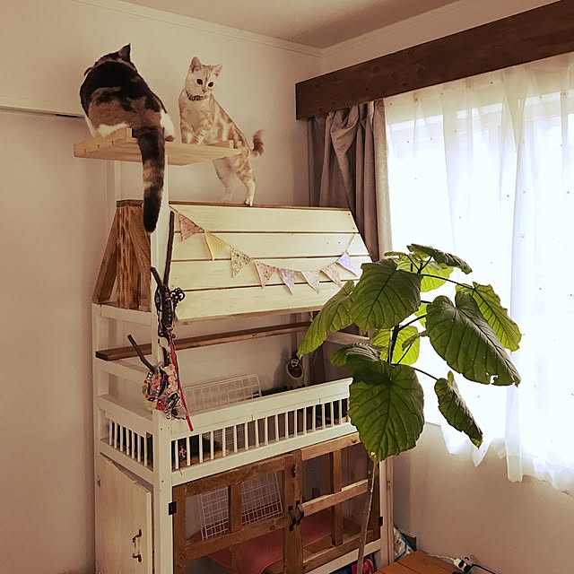 bambi_eyeさんの実例写真
