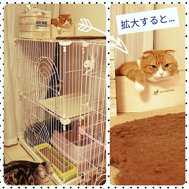 kumingさんの実例写真