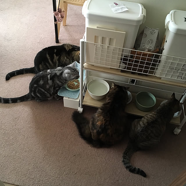 mikomaruさんの実例写真