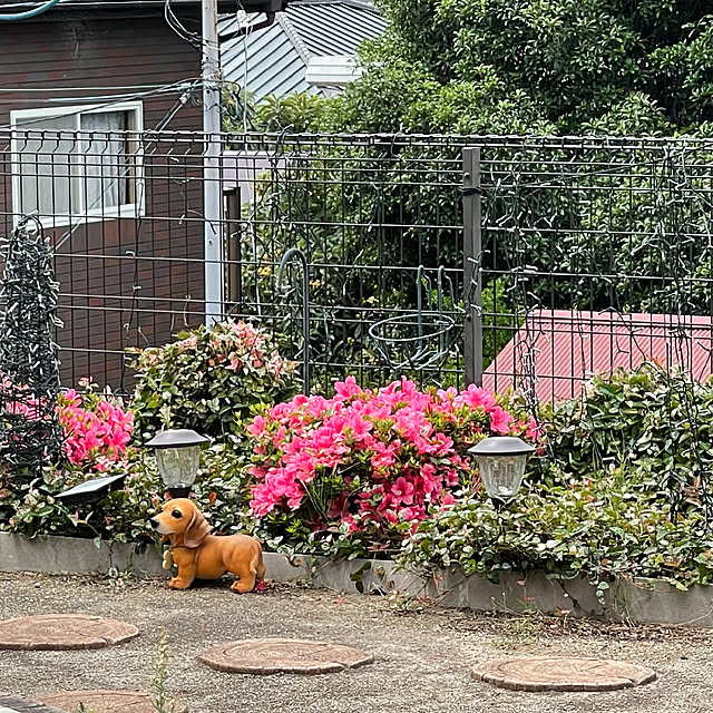 kiyomiさんの実例写真