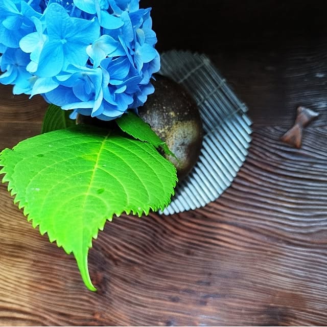 7+ajisaiさんの実例写真