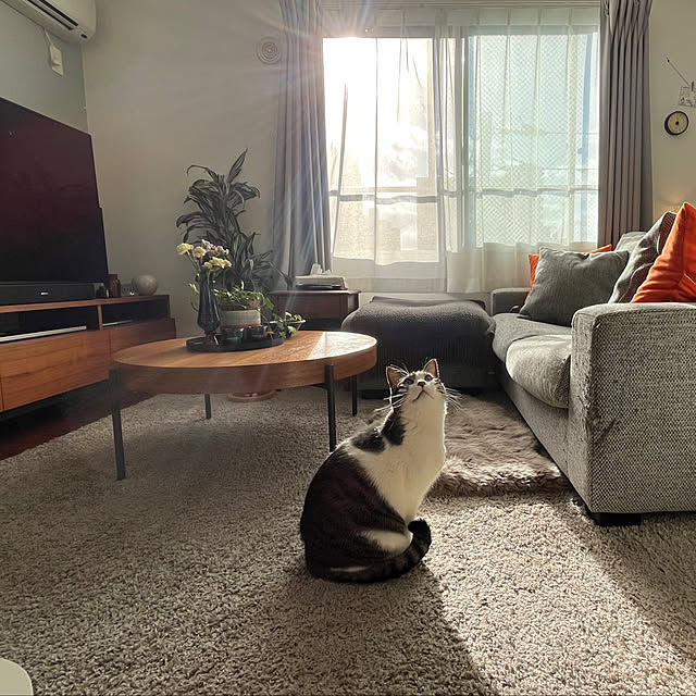 naさんの実例写真