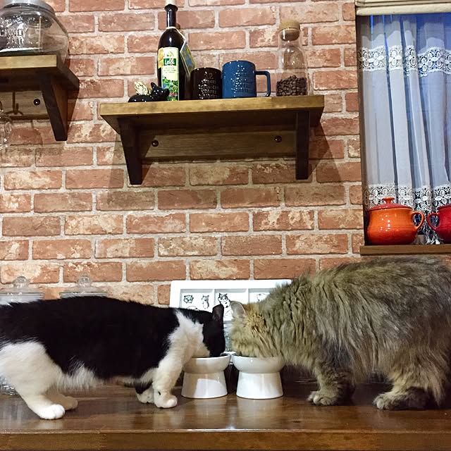 butachanさんの実例写真