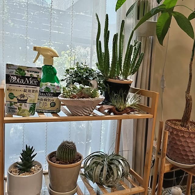 yuuさんの部屋