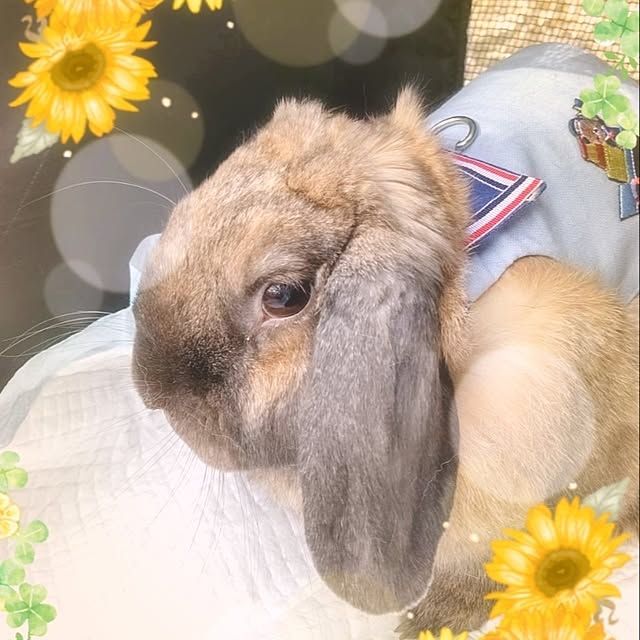 mariaさんの部屋