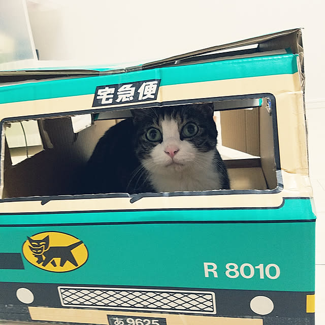 nyaka572さんの実例写真