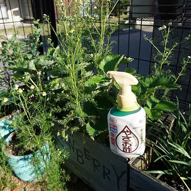 asさんの実例写真