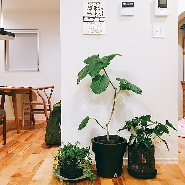 mintさんの実例写真