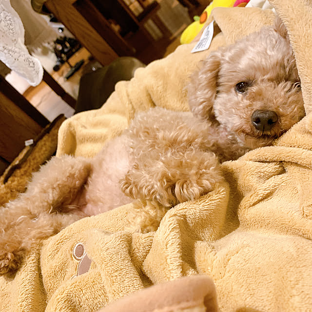 Momoさんの実例写真