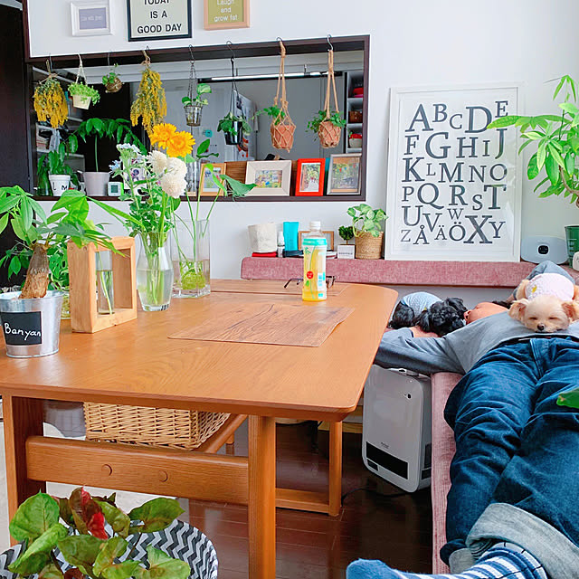 risaさんの実例写真