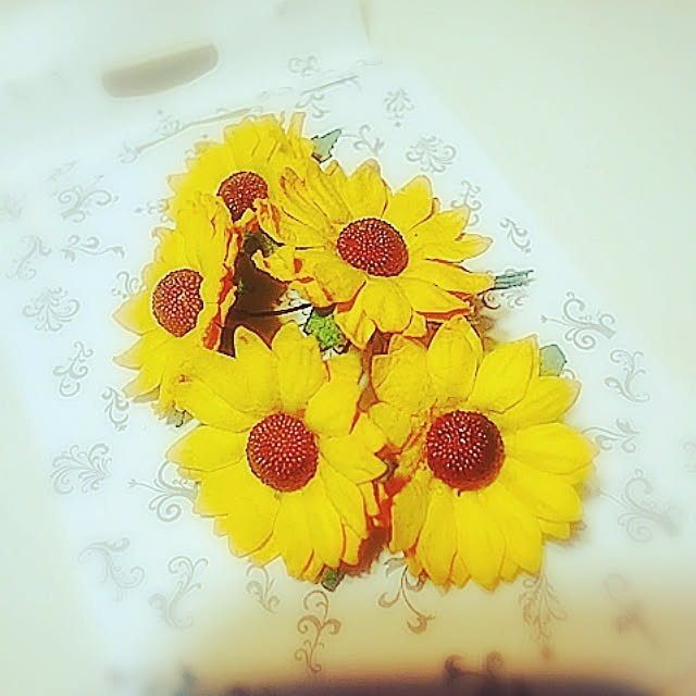 coccosshopさんの実例写真