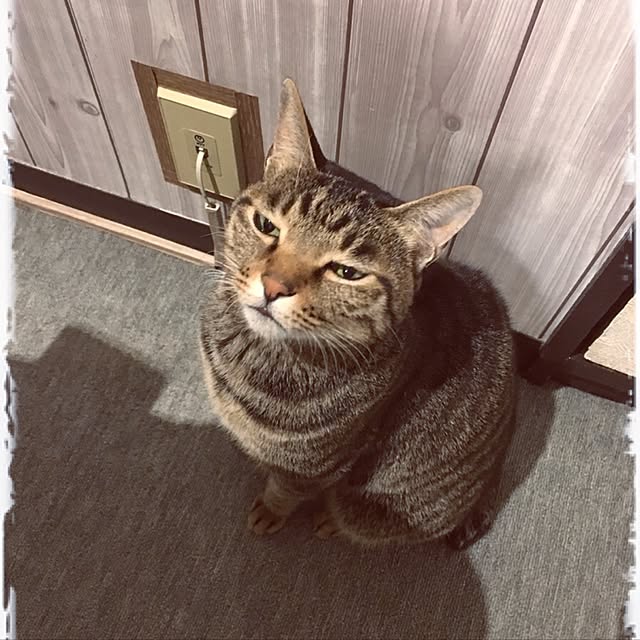 shigimiさんの実例写真