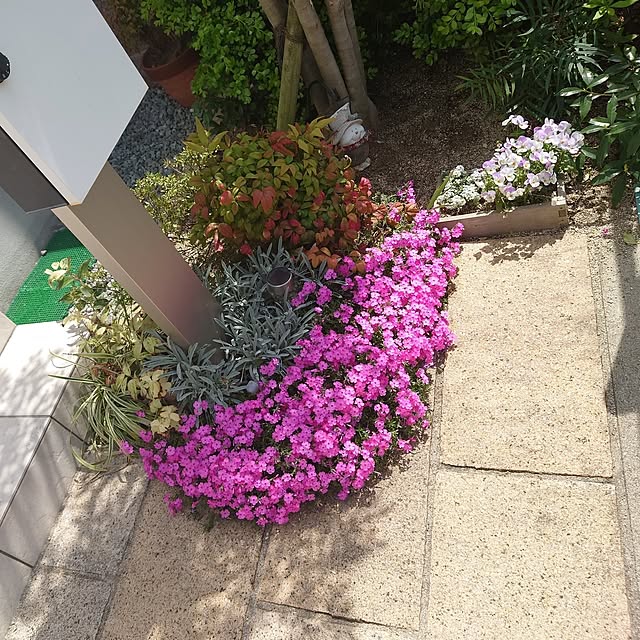 mmfamilyさんの実例写真