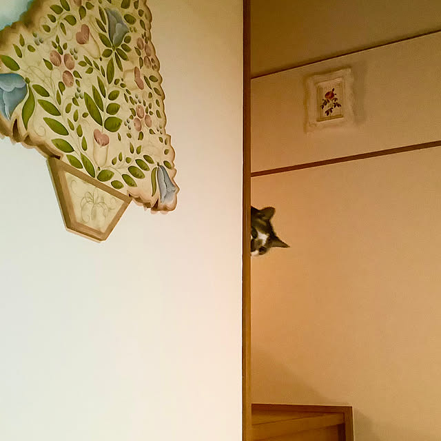 haruminさんの実例写真