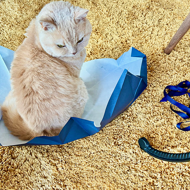 naokoさんの部屋