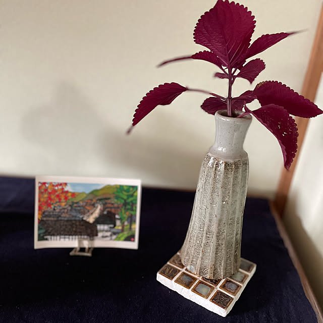 buchiさんの部屋