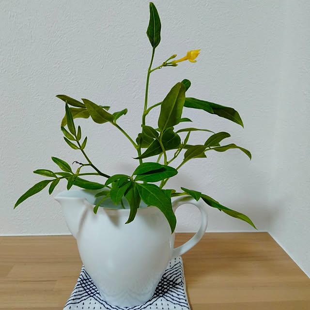 kayoさんの実例写真