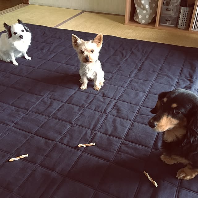 ohanaさんの実例写真