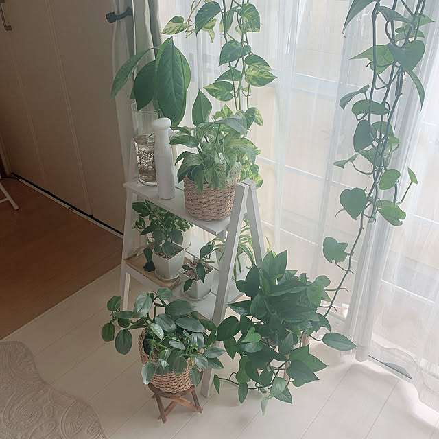 mjさんの実例写真