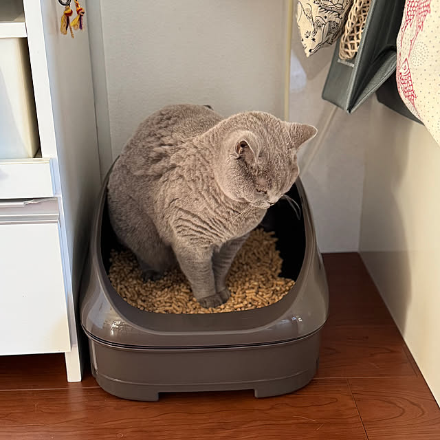chulashihoさんの実例写真