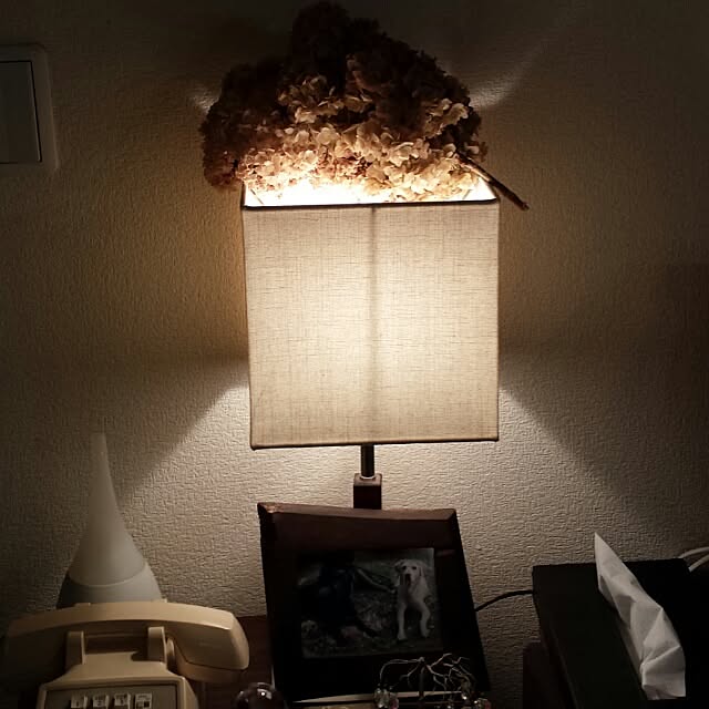 NaNanさんの実例写真