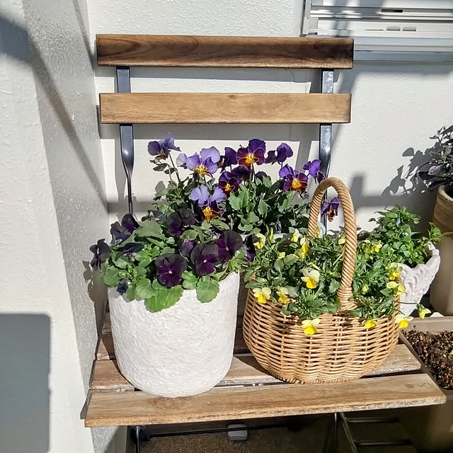 kerochanさんの実例写真