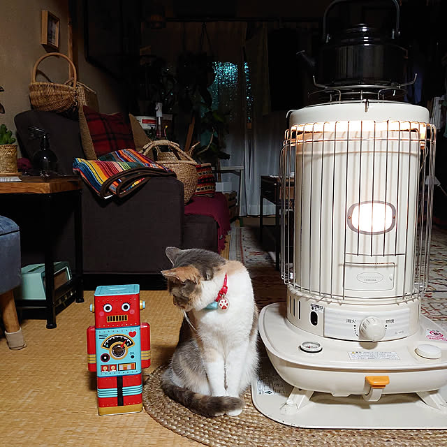 fukuさんの実例写真