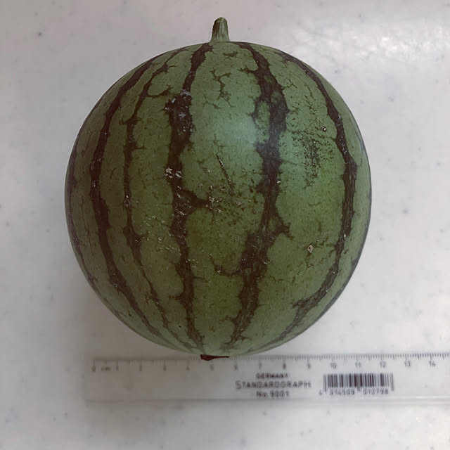 JUENさんの実例写真