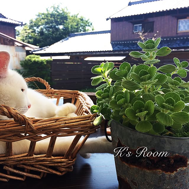 klaroomさんの実例写真