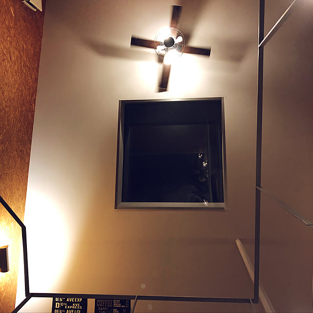 pecoさんの実例写真