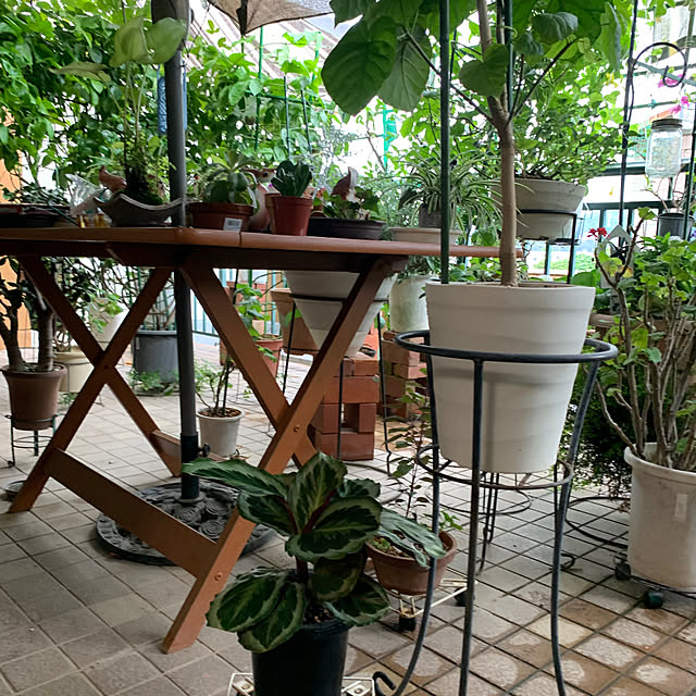 Aqettyさんの部屋