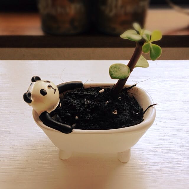 newさんの実例写真
