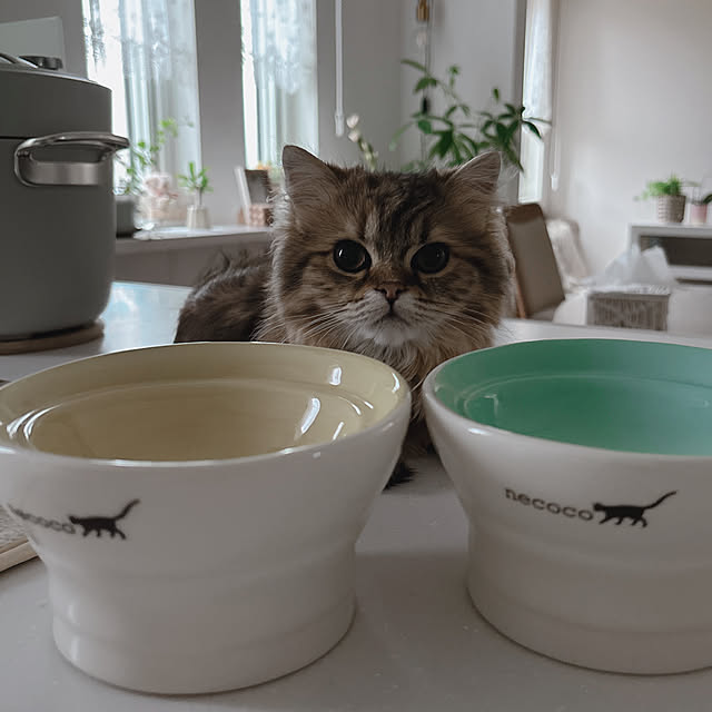 miyu39さんの部屋