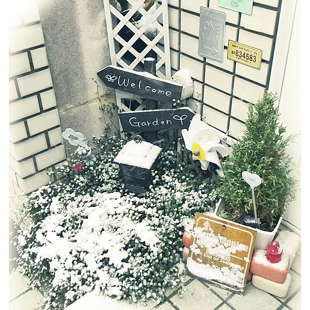 Angelさんの実例写真